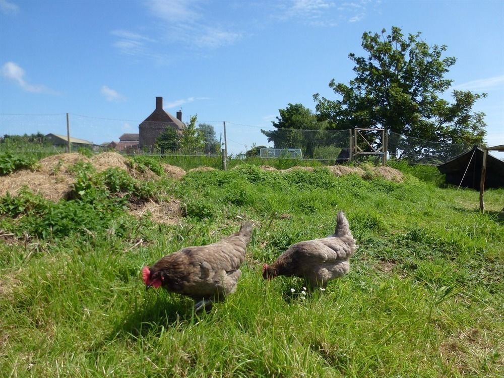 Manor Farm Stay Sutton-on-Sea Buitenkant foto